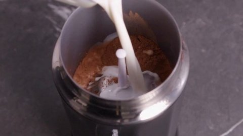 Капучинатор Zigmund & Shtain ZMF-452