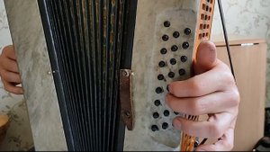 "За лесом солнце просияло" Разбор на гармони