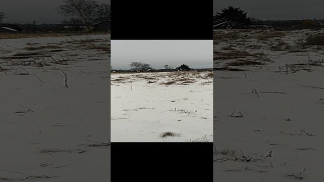Хорошо чего нет