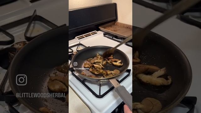 Multi-Mushroom Pasta with Herbs de Provence #food #mushroom #mushroomrecipe #cooking #recipe смотреть онлайн