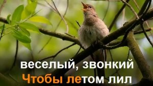 Я хочу чтоб птицы пели