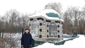 Я думал, сердце позабыло... Пушкин Александр Сергеевич