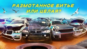 РАЗМОТАННОЕ БИТЬЕ ИЛИ ЦЕЛАЯ? КАК ВЫБРАТЬ МАШИНУ НА АУКЦИОНЕ IAAI