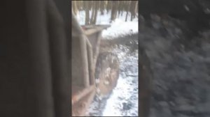 Багги для СВО