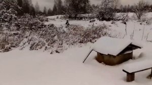 Глухие места смоленщины