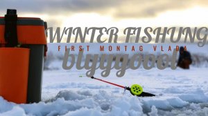 Зимняя рыбалка. СРАБОТАЛА ЖЕРЛИЦА!!!