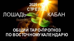 ОБЩИЙ ТАРО-ПРОГНОЗ НА 2025 ГОД ПО ВОСТОЧНОМУ КАЛЕНДАРЮ. СТРЕЛЕЦ (ЛОШАДЬ-КАБАН)