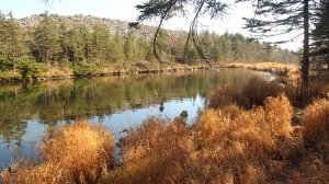 г. Ольховая (Туансон) 1669м. с озером на макушке!!! Приморский край, сентябрь 2024