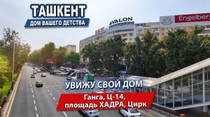 ГАНГА. Ц-14. ХАДРА. ЦИРК. ЧТО ПРОИСХОДИТ В ТАШКЕНТЕ? #узбекистан #ташкент #сегодня #news