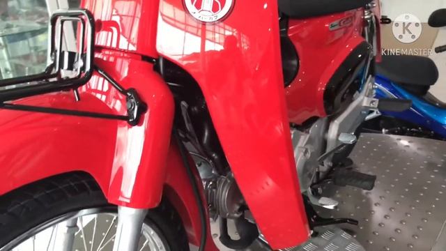 All new super cubhondasupercub