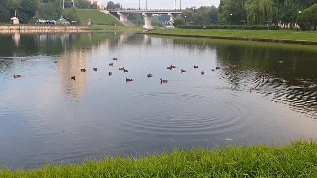 Новый день / Лена LIFE / Показала свою суть! "Добрая" сестрица Еленище и её советы / Обзор влогов смотреть онлайн