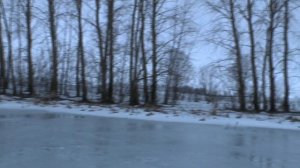 РЕШИЛ ПОРЫБАЧИТЬ НА ЖЕРЛИЦЫ НА ОЗЕРЕ ЧУКАЛЫ "МОРДОВИЯ"часть 1