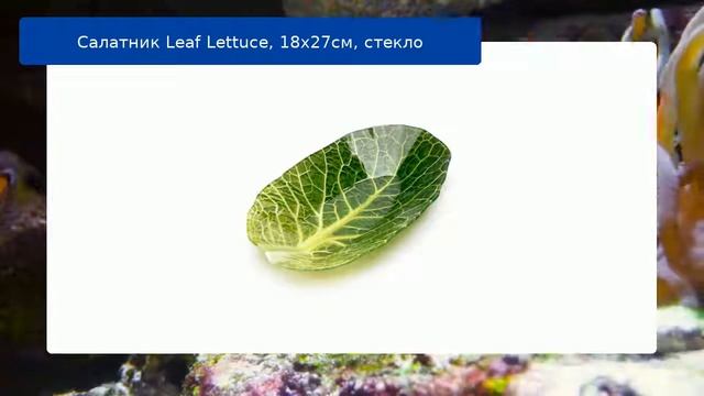 Салатник Leaf Lettuce, 18x27см, стекло обзор смотреть онлайн