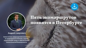 5 новых экомаршрутов появятся в Петербурге