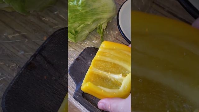 #shorts смотреть онлайн