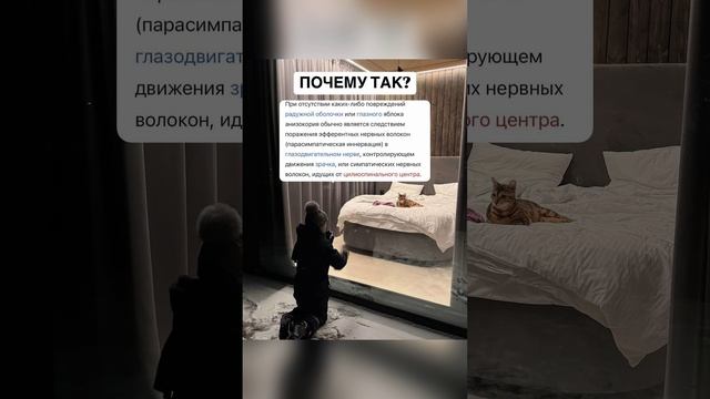 Метод, который решает серьезные проблемы со здоровьем ребенка смотреть онлайн
