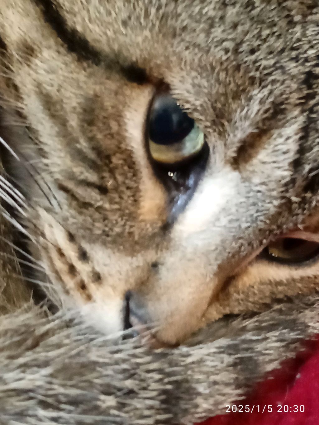 у меня на канале 203 подпищиков смотреть онлайн