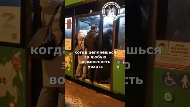 Волшебная фраза, которая помогает екатеринбуржцам попасть в автобус