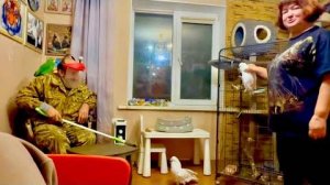 Сказать что это СМЕШНО, это ничего не сказать! Влад вооружился против какаду Кеши как мог!