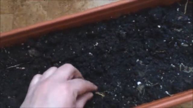 НОВЫЙ ЭКСПЕРИМЕНТ