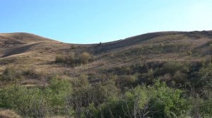 Село Ново-Григорьевское (г. Зеленокумск) Ставропольский край