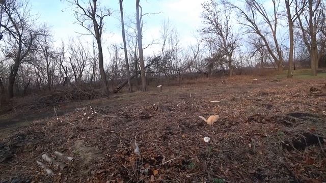 Столько ДЕЛ, что их не переделать! Уборка ЛИСТВЫ и ВЕТОК Возврат ОСКОЛКОВ ТРУБ ТИТАНИКА_22.11.2024 смотреть онлайн