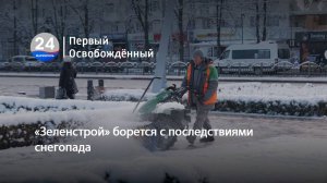 «Зеленстрой» борется с последствиями снегопада. 13.01.2025