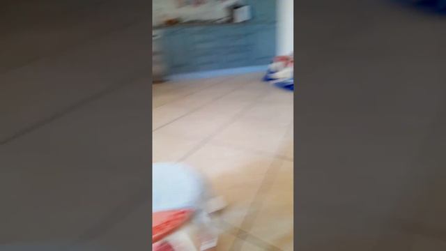 описание дома Бамблби и её хозяйки😄 смотреть онлайн