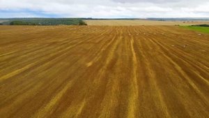 Лирика / Footage by DJI Mavic Air 2 / 4k 60fps