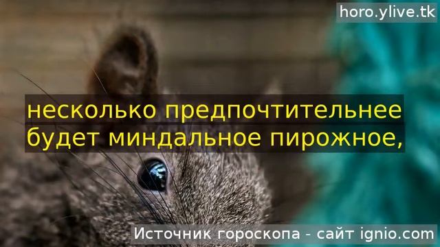 Лев. 🌮 05 дек. 2019: Кулинарный гороскоп на сегодня. смотреть онлайн