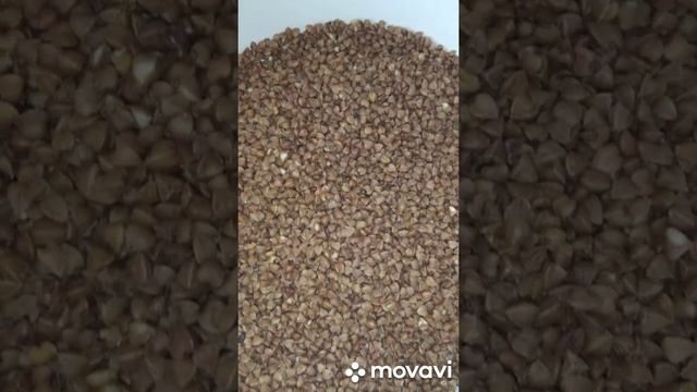 Гречка с тушенкой смотреть онлайн