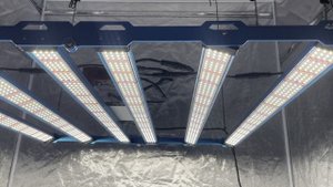 Kingbrite x55 480w