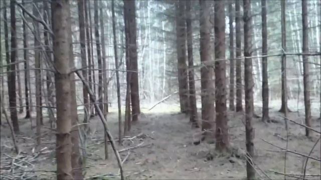 Mikrolaineahju pidu смотреть онлайн