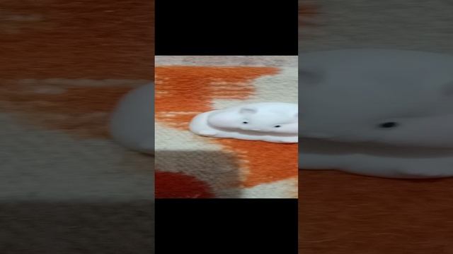 Хомячок