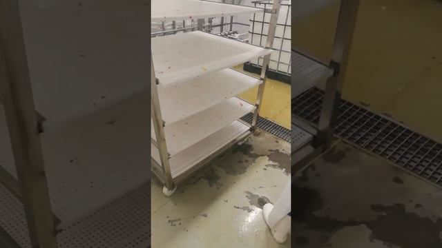 Процесс мойки полипропиленовой полки, 02 - мойка и полоскание лицевой стороны смотреть онлайн