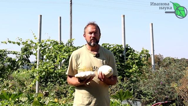 БЕСПЛАТНОЕ УДОБРЕНИЕ № 1 ДЛЯ ВНЕСЕНИЯ ОСЕНЬЮ и РАННЕЙ ВЕСНОЙ. Не забудьте внести это удобрение. смотреть онлайн