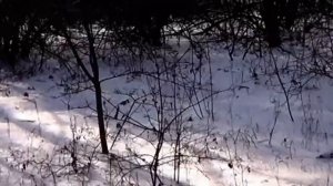 ГРАНДЕНИКО ПРИРЕВНОВАЛ САМВЕЛА К НАДЬКЕ. ГРОМИЛА ЗАПРЕТИЛА ПУСКАТЬ НАДЬКУ НА ИГРЕНЬ\ САМВЕЛ АДАМЯН