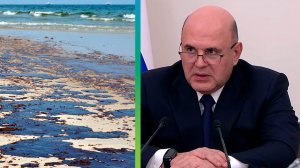 Мишустин создал правкомиссию по ликвидации ЧП в Керченском проливе, ее возглавил Виталий Савельев