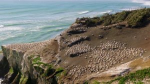 3209662-uhd_3840_2160_25fps