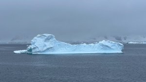 Антарктида - 2024 Полная версия