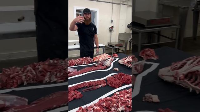 This Ohio Whitetail Doe had a yield of about 62%. 🦌 #shorts #deer #venison #butcher смотреть онлайн