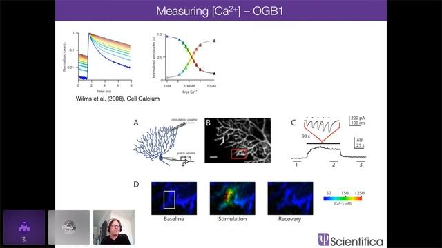 Fluorescence Lifetime Imaging – Another Dimension in Multiphoton Imaging смотреть онлайн