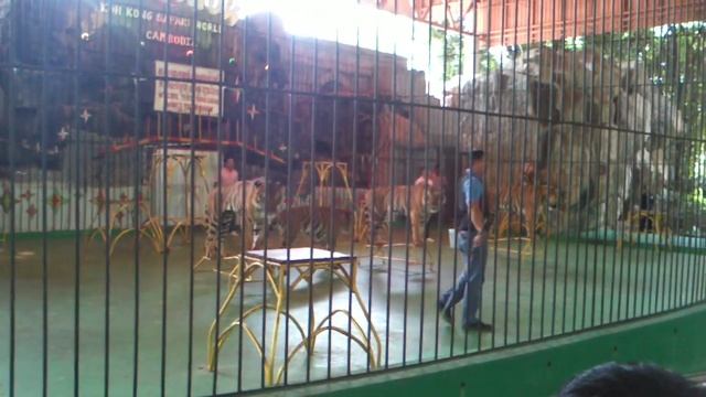 show SP3 смотреть онлайн