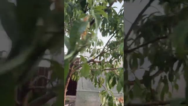СРОЧНО! Нужна помощь!!!