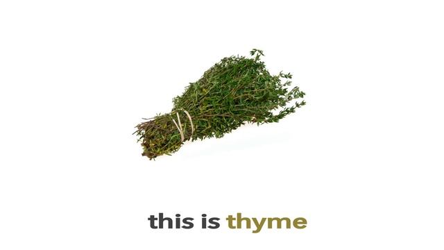 English Vocabulary - HERBS