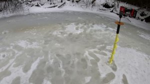 Наловить и переселить хариуса.Но сперва намочить ноги.