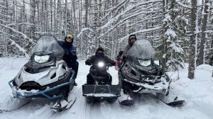 Две тайги патруль и тофалар 500 11.01.2025 г.