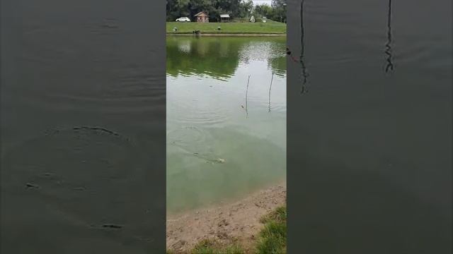 1000014916.mp4