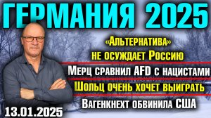 Германия 2025. "Альтернатива" не осуждает Россию, Шольц хочет выиграть, Вагенкнехт обвинила США