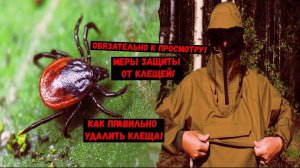 Как Защитить себя от Клеща! Простые и надежные меры! #Rutube #рекомендации #туризм